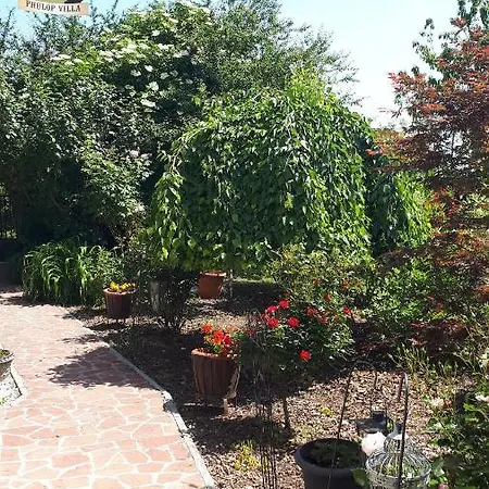 Fulop Apartmanhaz Apartmán Balatonszepezd