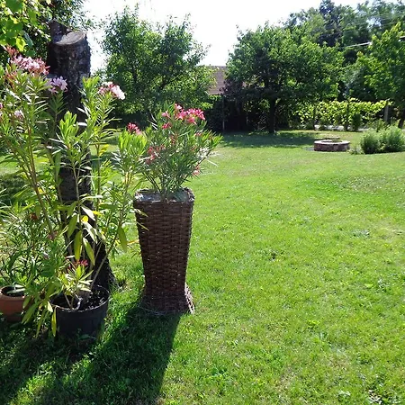 Apartmán Fulop Apartmanhaz